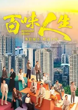 雾港迷局 热播电视剧全集